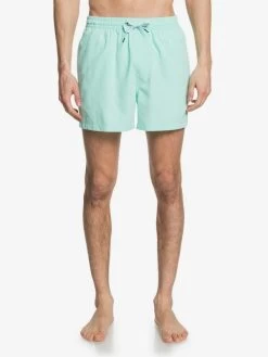 Quiksilver Everyday 15" - Short De Bain Pour Homme